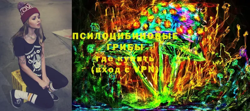 хочу   Зея  Галлюциногенные грибы Cubensis 